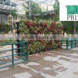 Best Selling Good Quality Vertical Walls for Decoration With Good Price thumbnail-1