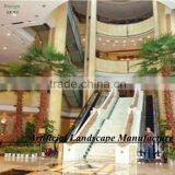 Garden Outdoor Uv-protected Date Palm Tree Canary Date Palm Tree thumbnail-4