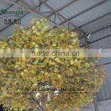 Artificial Gingko Tree for Decoration,fake Gingko Tree thumbnail-6