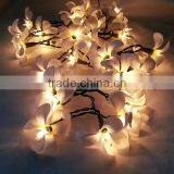 35 Flower Frangipani Bedroom or Living Room Hanging Lights thumbnail-1