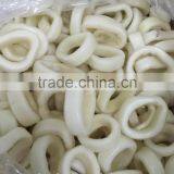 High Quanlity Frozen Squid Ring thumbnail-2