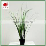 Factory Direct Sale Large Garden Decoration Onion Grass thumbnail-4