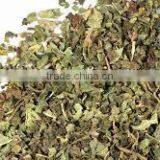 Best Quality Papaya Leaf thumbnail-3