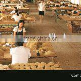 White Bristles Boiled thumbnail-3