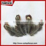 Lower Price Natural Synthetic Pheasant Feathers for Carnival Costumes thumbnail-2