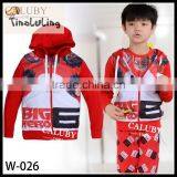 Europe and America Hot Selling New Design Big Hero 6 hoodies for Boys Big Hero 6