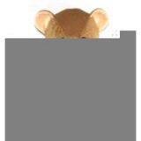 Sell Plush Bear thumbnail-1