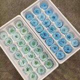 Preserved Fresh Rose Flower for Home Decoration Wedding Gifts thumbnail-1