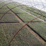 LANDON Seed Trays company overview - view 1 thumbnail