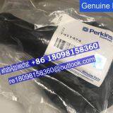 T417388 Perkins DPF FILTER/genuine Engine Parts thumbnail-2