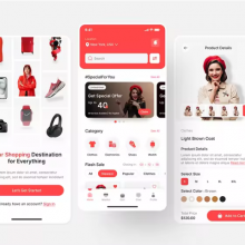 Experienced Hybrid App Developers | Mobile Application Development Company thumbnail-3