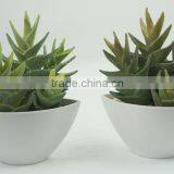 Cheap Wholesale Artificial Bonsai Artificial Cactus for Decoraton thumbnail-3