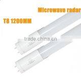 High Lumens 600mm 8-10m t8 Radar Microwave Sensor Led Tube 9w thumbnail-5