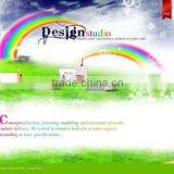 Flash Website Design