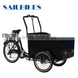 cargo tricycle diesel engine for sale
