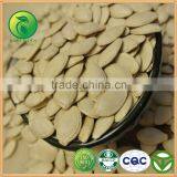 Shine Skin Pumpkin Seeds and Kernels thumbnail-1