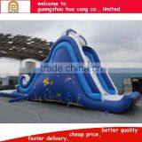 2016 China Funny Giant Inflatable Slide/titanic Inflatable Long Slide With Large Pool thumbnail-4