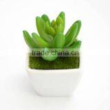 3 Inches Squared Mini Pot Plant thumbnail-6