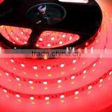 Hot Sale 5m Package RGB LED Flexible Strip Kit for Small and Narrow Signs Lighting and Partial Lighting thumbnail-5