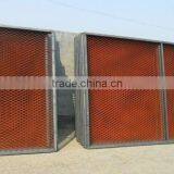 Hot Selling Expanded Metal Mesh(Youjie Factory)