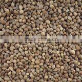 Pure Hemp Seeds Oil thumbnail-5