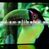 Low Power Consuption P12 Full Color Led Indoor Display
