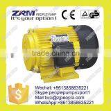 YCL Series Single-phase dc Brushless Electric Motor thumbnail-2