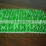 Gold Carpet thumbnail-1