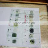 Microscope Prepared Slides ,Rock Slides, Rock Prepared Slides thumbnail-1
