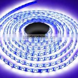60LEDS 5050 LED strip light with india market price from zhongshan factory