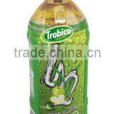 Apple Flavor With Green Tea thumbnail-1