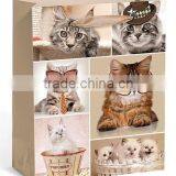 Custom Made Wholesale Shop Paper Bags thumbnail-2