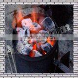 Apt Exim BBQ Briquettes From India