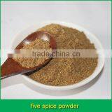 Five Spice Powder (20+ Year Spice Experience)