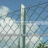 Chainlink Fence