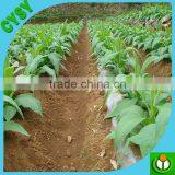 Factory 20/70 Micron Biodegradable Mulch Film Price thumbnail-2