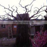 Q012708 Manufacturer Dry Tree for Decoration Table Centerpiece Tree Decoration Artificial Dry Tree thumbnail-3