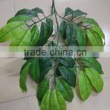 SJ070905 Artificial Longan Leaves for Longan Tree Making/artificial Tree Leave Craft thumbnail-2