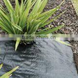 Agricultural pp Weed Mat Black Plastic Ground Cover for Sale thumbnail-6