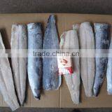 IQF Spanish Mackerel Fillet,Skin on ,Cutted thumbnail-1