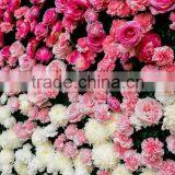 Silk Wedding Artificial Flowers Wall Backdrop WithRose&Hydrangea for Wedding Decoration thumbnail-1