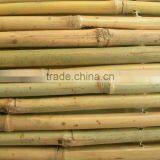 Drilled Bamboo Fence thumbnail-2