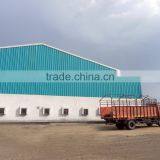 Best Quality Glycine Max thumbnail-2