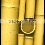 Bamboo Pole