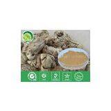 Angelica Sinensis Extract