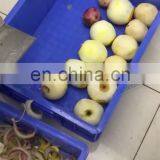 Pneumatic Kiwifruit/Persimmon Skin Peeling Machine With 304SUS,Round Fruit Peeler