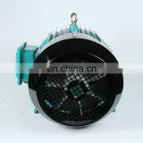 China Made Y2 Series AC Electric Motors 3 Phase 55 kw Electric Motor 2 4 6 Pole thumbnail-4