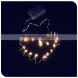 Warm White Copper Wire Battery Operated Mini Led Christmas Lights