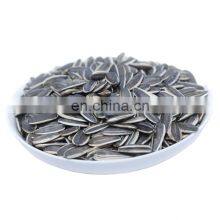 Wholesale Bulk Sunflower Seeds Raw Sunflower Kernels Export Sunflower Seeds