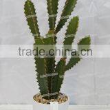 Best Selling Artificial Ornamental Plants for Indoor Artificial Trees Bonsai thumbnail-1